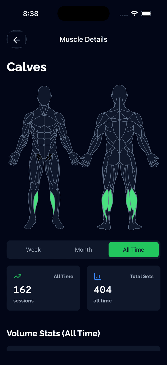 Categorías de grupos musculares