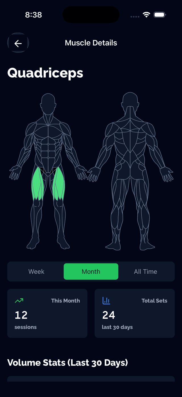 Historial de entrenamiento muscular global