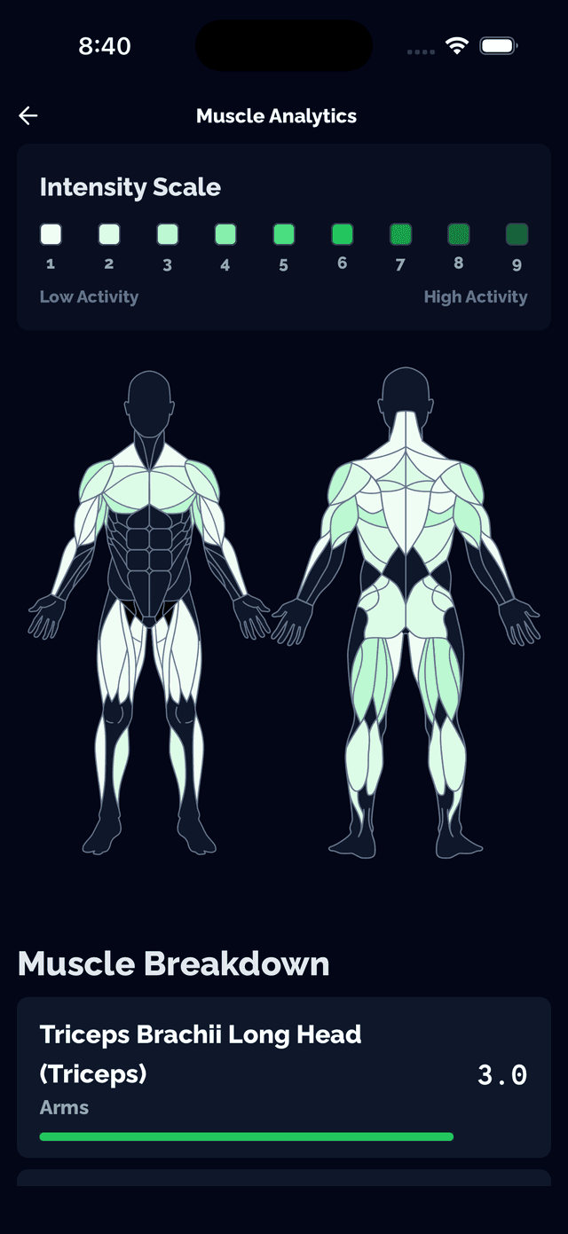 Desglose muscular por sesión